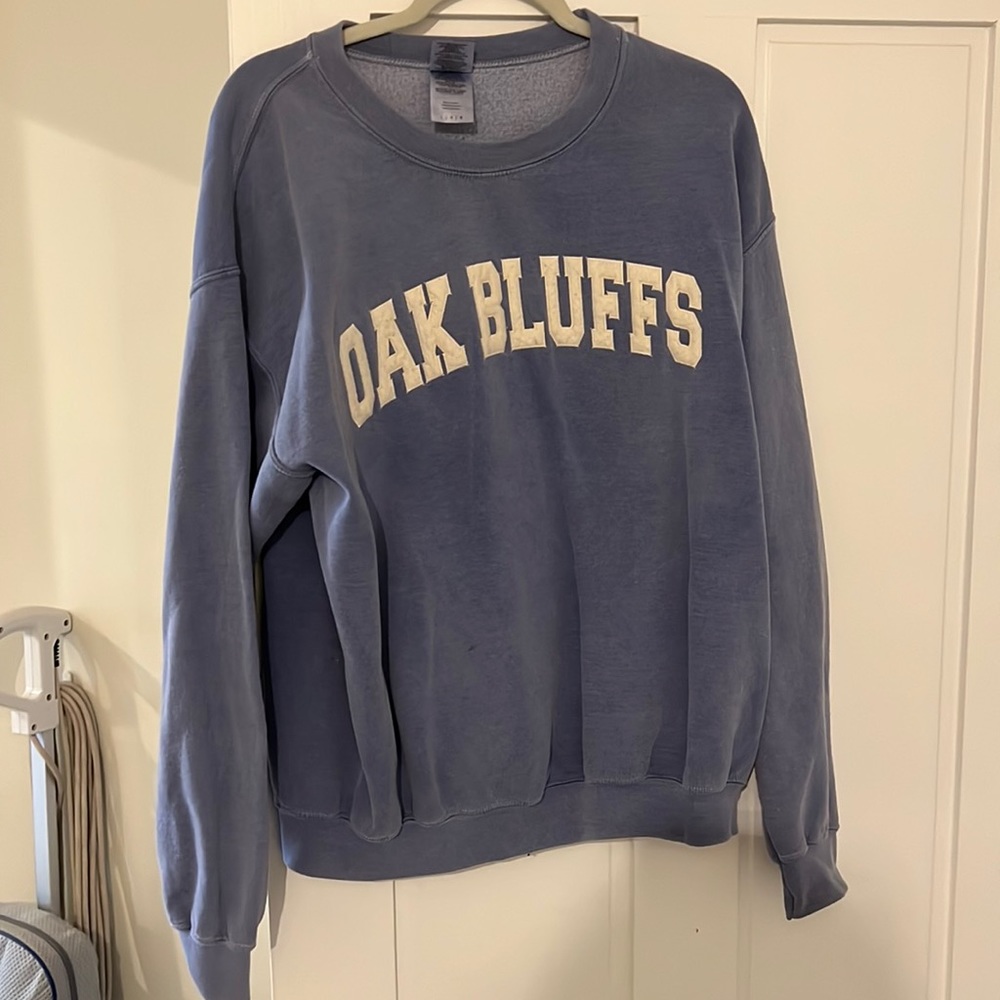 Size medium Oak Bluffs Martha’s Vineyard hoodie
